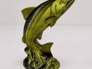 Salmon