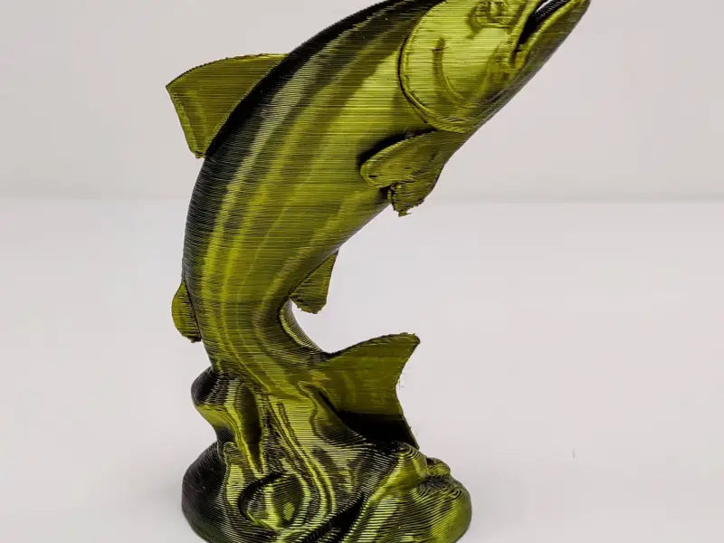 Salmon