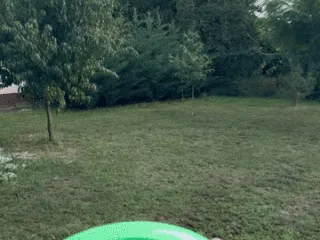 Flying disk