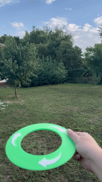 Flying disk