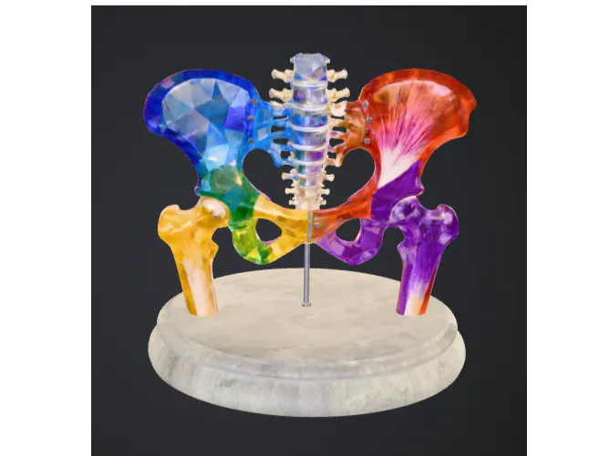 Crystal Pelvis Spectrum