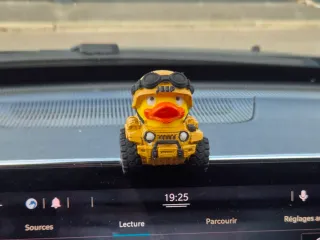 Decoration canard jeep militaire