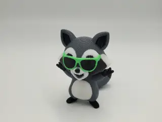 Cool Racoon