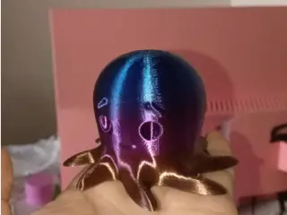 octopus