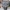 Boneco Funko Pop! Harry Potter 6 - Dumbledore Com Horcrux
