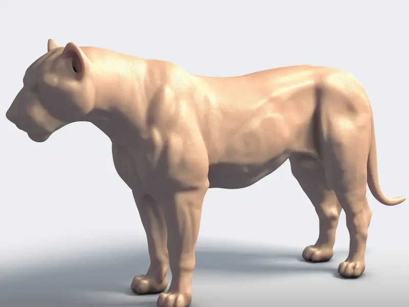 Majestic Tiger