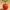 Low Poly Cherry 3D Model
