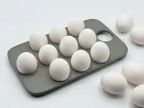 Egg Tray-0