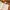 Halloween Bookmark 3d modal