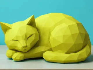 Sleeping cat LP