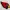 Logo des Cardinals de l'Arizona