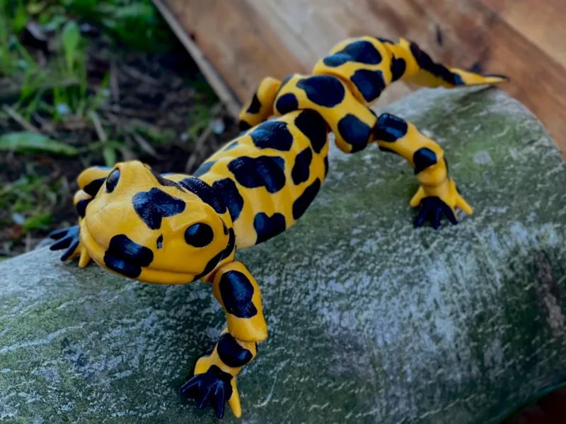 FIGURA MÓVIL DEL JUGUETE DE SALAMANDRA / CUERPO IMPRESO IN SITU