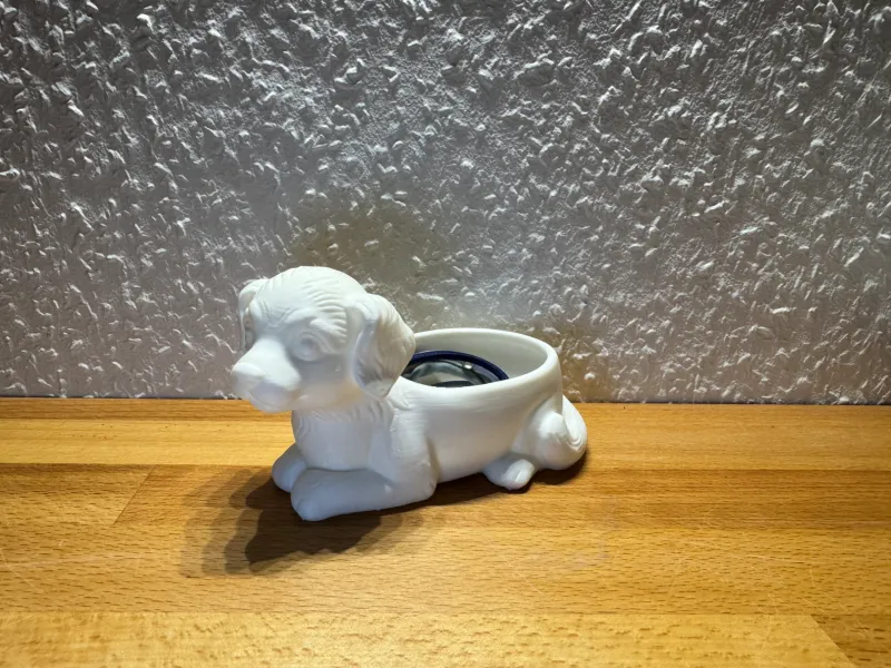 Bol pour chien