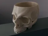 skull planter / bowl-0