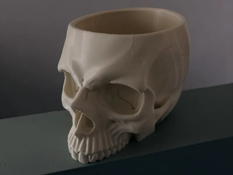 skull planter / bowl