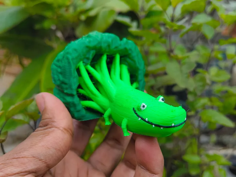 Croc-Coli