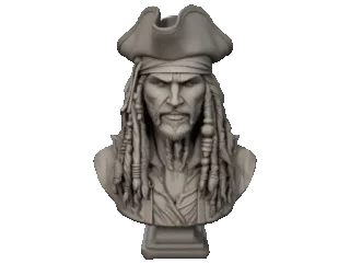 Pirate bust