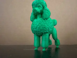 Poodle