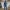 사막 순찰관
