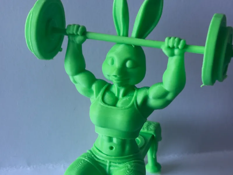 Fitness-Hasen-Dekoration