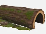 Reptile Log-0