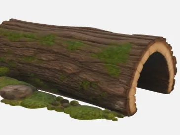 Reptile Log