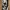 Hueforge Jason Wandkunst