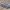 Carro IFV Boxer