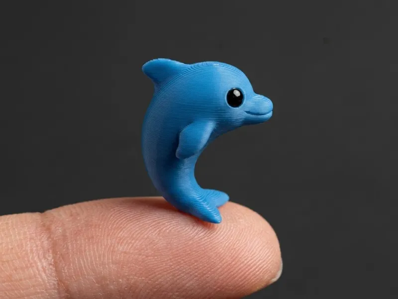 dolphin