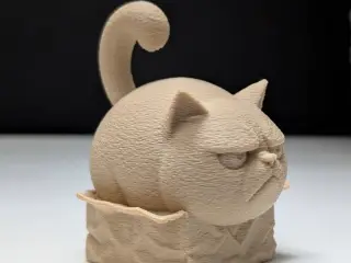 Grumpy Cat "in" a Box