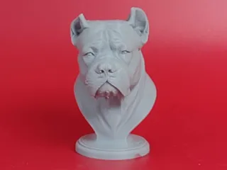 American Bulldog Bust