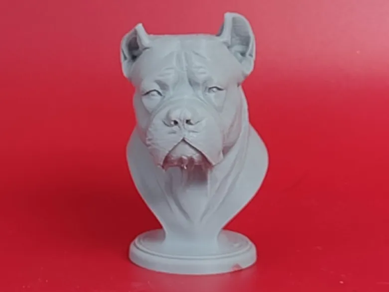 American Bulldog Bust