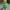 green lantern
