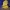 Holiday Led light house