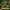Funky Kong Donkey Kong Country 2