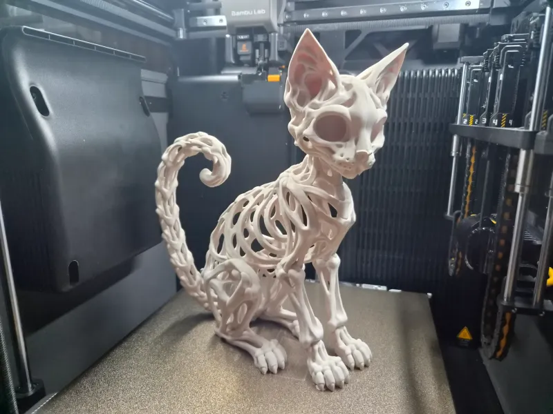 3D-Skelettkatze – Skelettkatzenmodell