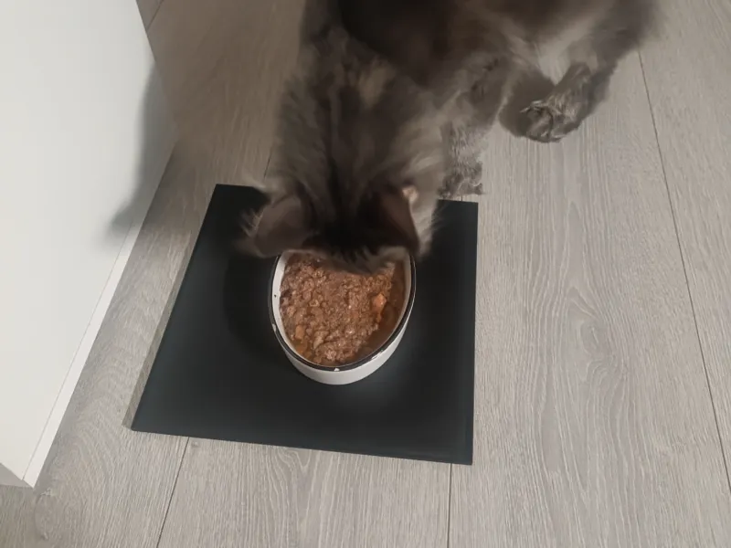 anti spill pad for cat food bowl