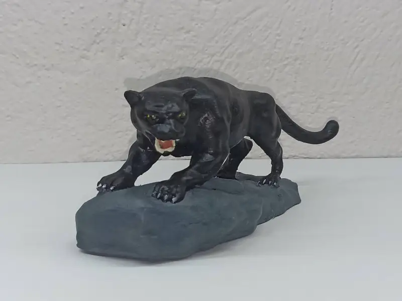 Pantera sobre una roca