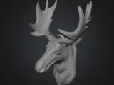 Moose head wall decor-0