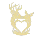 biche-0