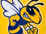 Yellow jacket-0