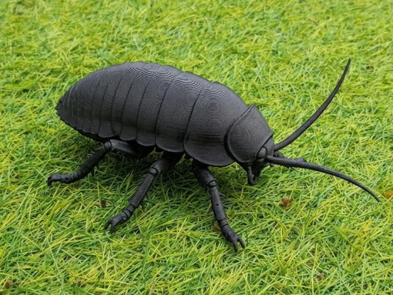 Madagascar Hissing Cockroach - Realistic Insect