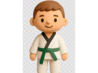 The Karate kid