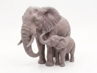 Elephant and calf