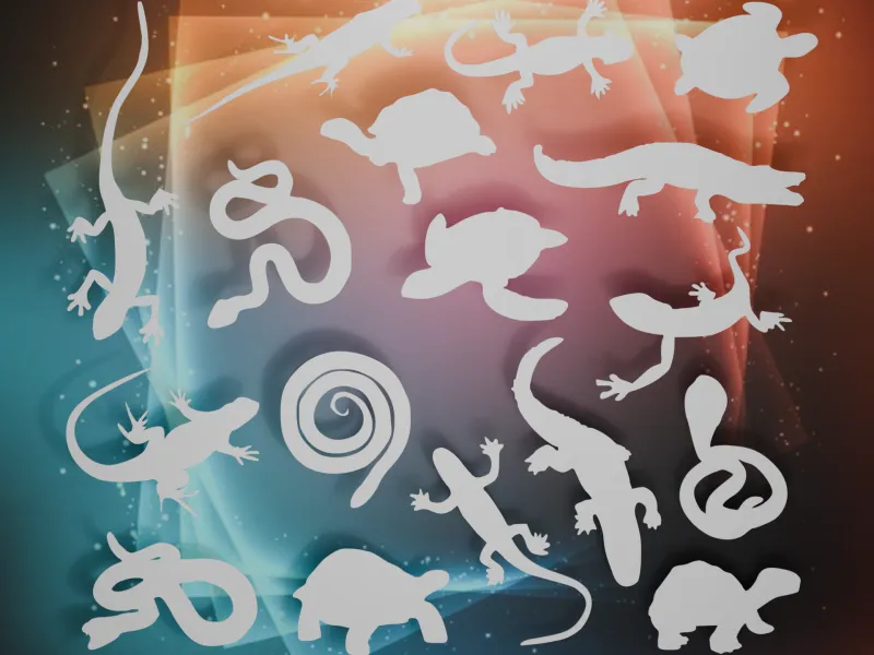 Reptile Silhouettes Bundle