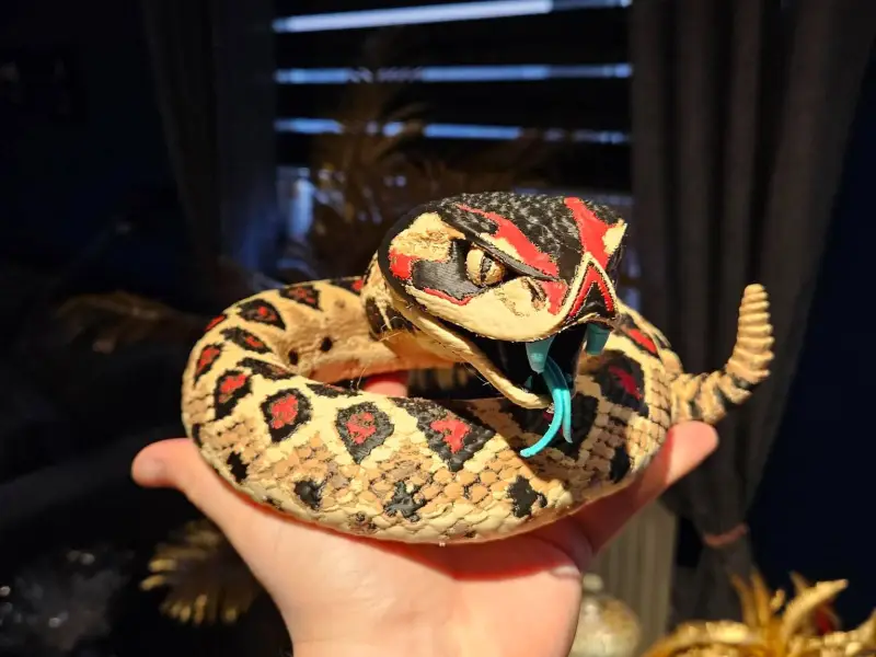 MLB - Arizona Diamondbacks Snake Sculpt
