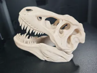 T-Rex Skull