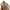 nativity scene figurine 3d model