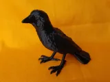 Crow-0
