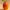 Low Poly Mango 3D Model